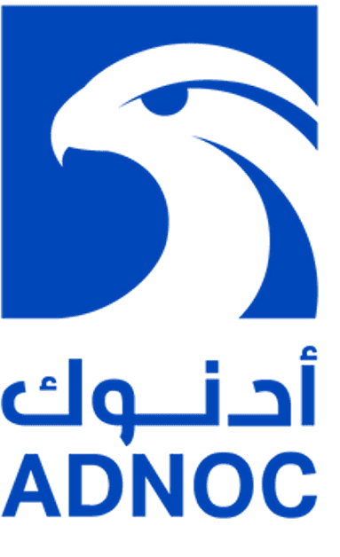 Partner 6